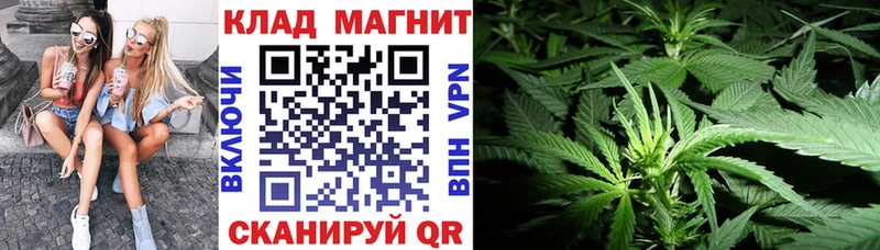 Где купить наркотики Гагарин ГАШ Каннабис КОКАИН A-PVP МЕФ