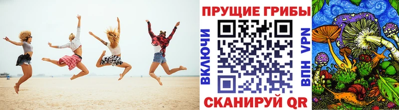 Псилоцибиновые грибы мицелий  Гагарин 