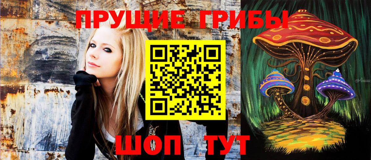 Гагарин  Галлюциногенные грибы Cubensis  Вход с VPN  Галлюциногенные грибы MAGIC MUSHROOMS 